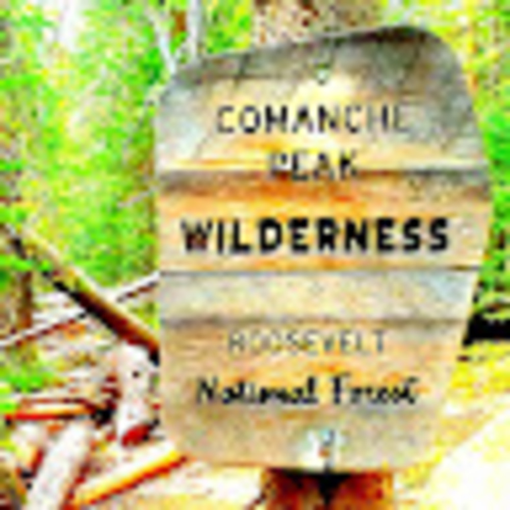 Meet your Posher, Alone in the woods